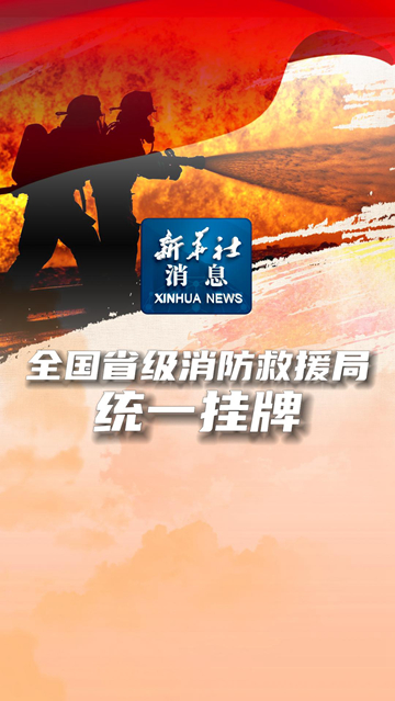新华社消息丨全国省级消防救援局统一挂牌-新华网        