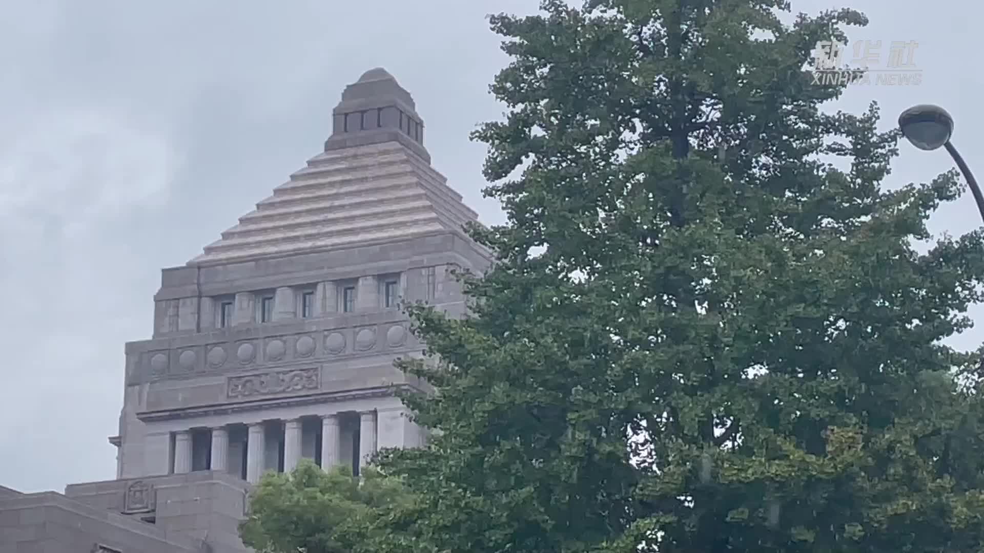 热点问答｜日本执政联盟选举失利影响几何-新华网