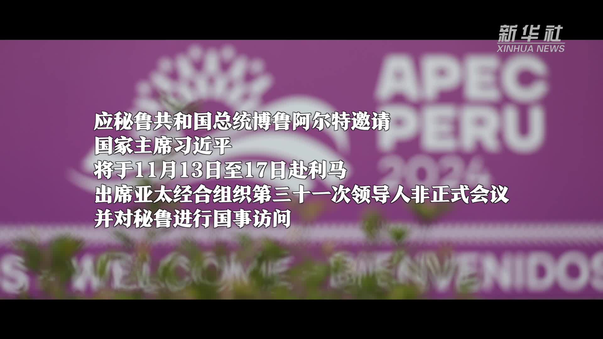 微视频｜推动亚太合作再出发-新华网        