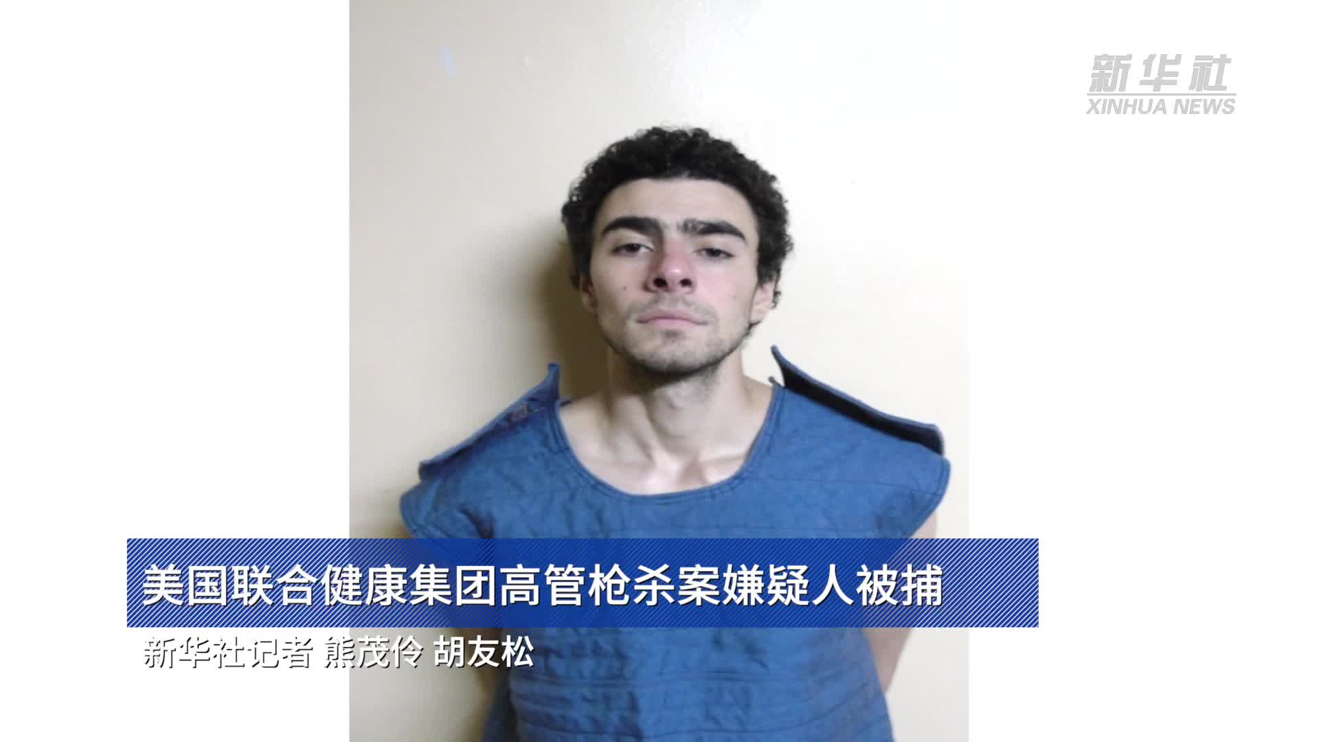 美国联合健康集团高管枪杀案嫌疑人被捕-新华网