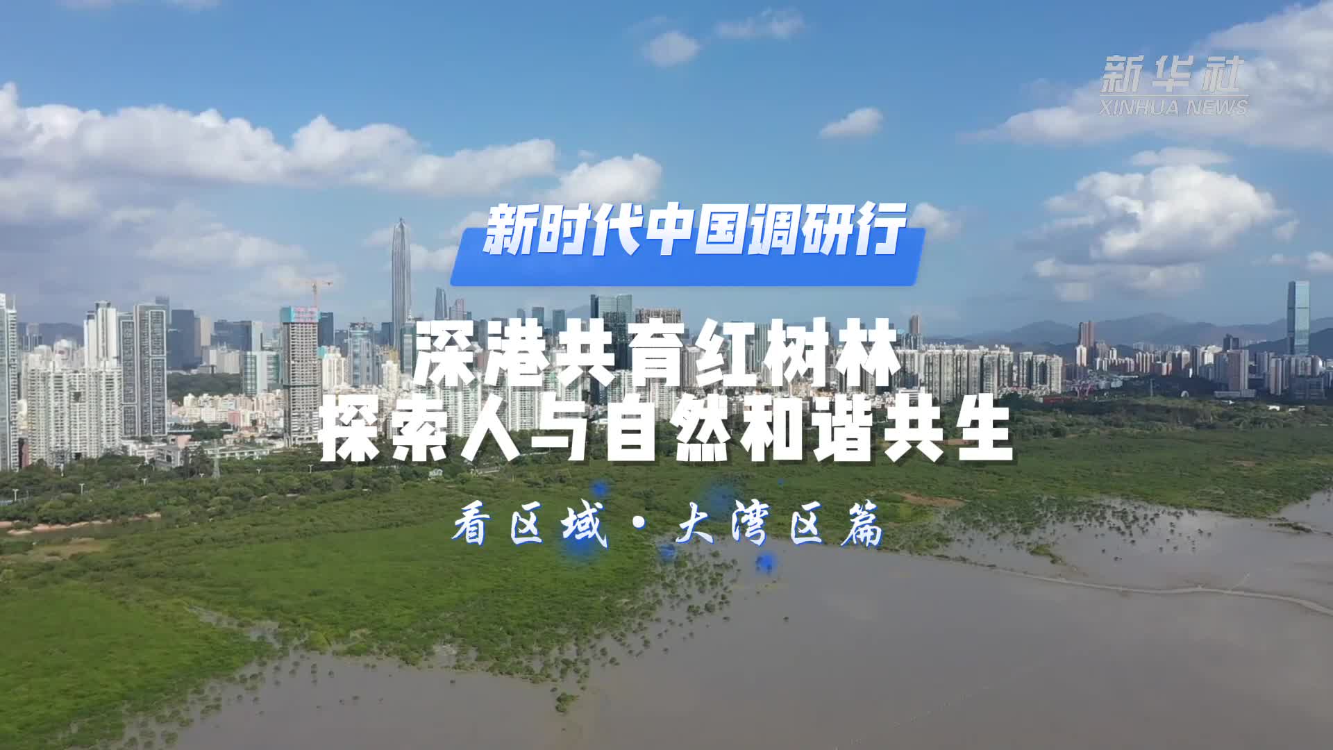 新时代中国调研行之看区域·大湾区篇丨深港共育红树林探索人与自然和谐