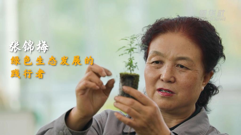 二十大代表风采丨张锦梅:让绿色成为高原最美底色-新华网