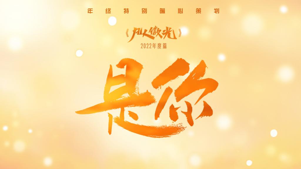 从平凡到耀眼的小说