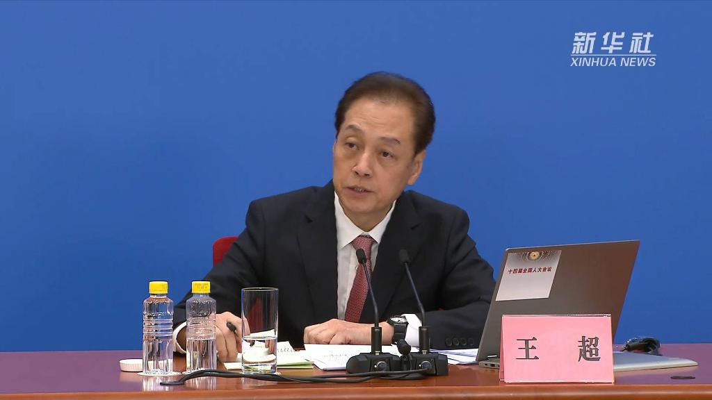 两会速递｜王超：人大代表具有广泛的代表性-新华网