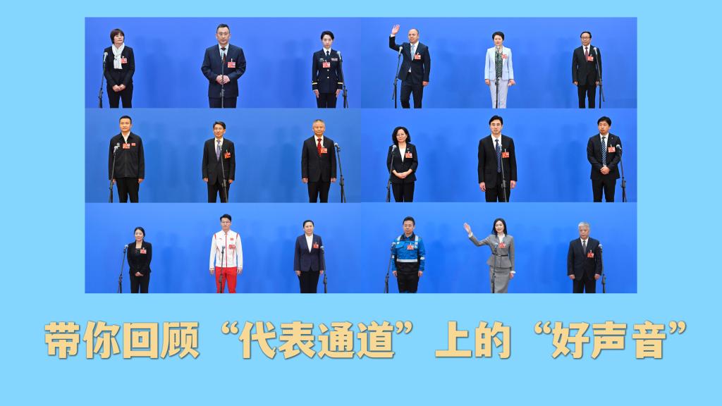 带你回顾“代表通道”上的“好声音”-新华网