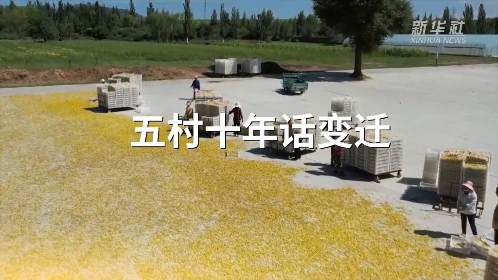 五村十年话变迁——循着习近平总书记山西乡村考察足迹看乡村振兴-新华网