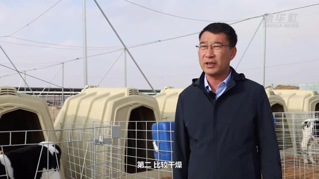 请点击图片查看视频