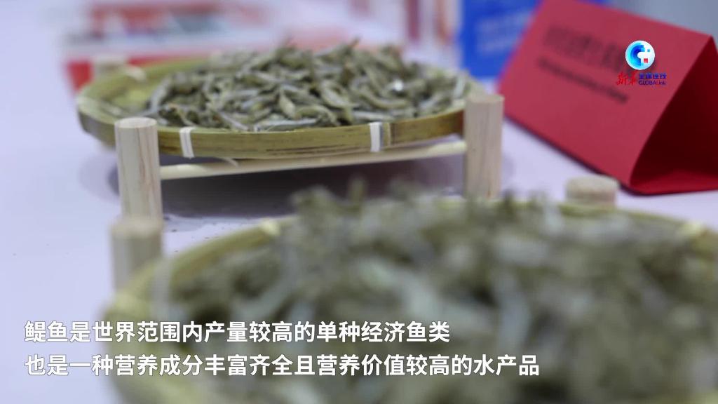 当湖南味道遇到非洲鳀鱼-新华网