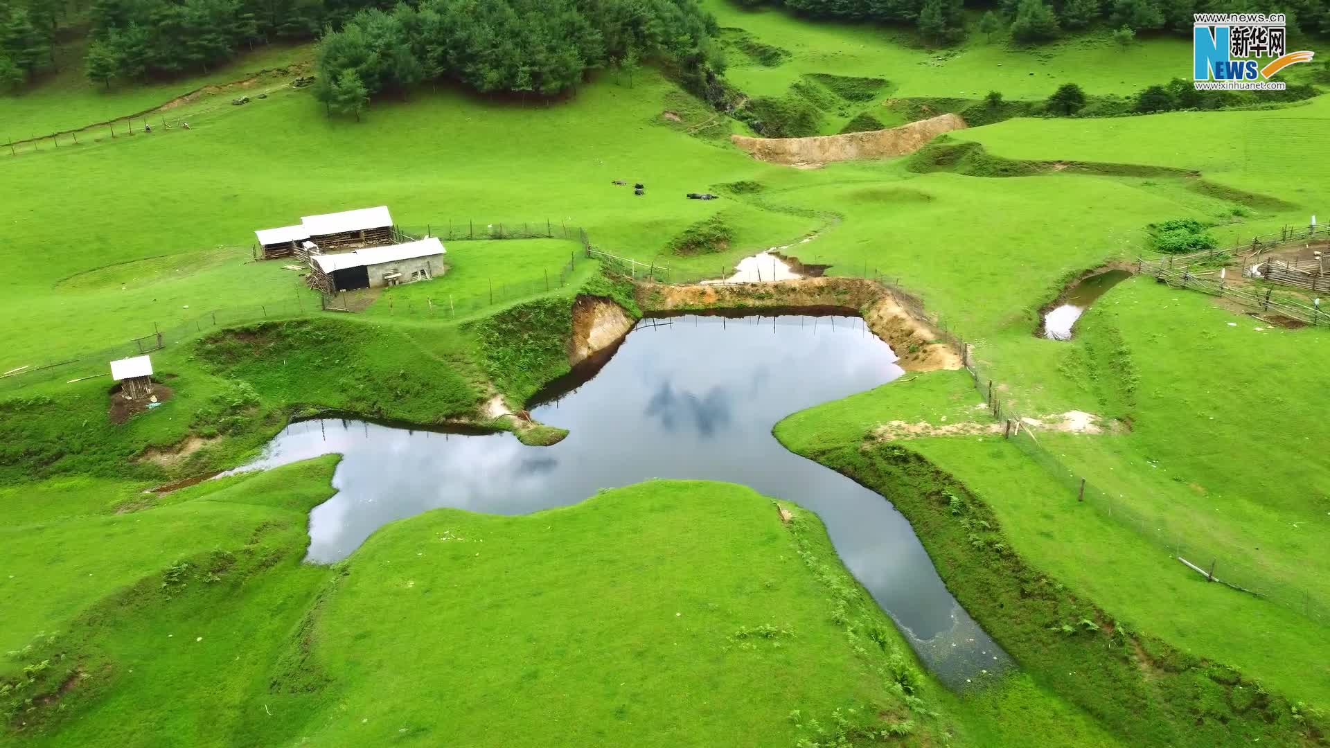 云南保山:雨后山地草原风光如画_新华网