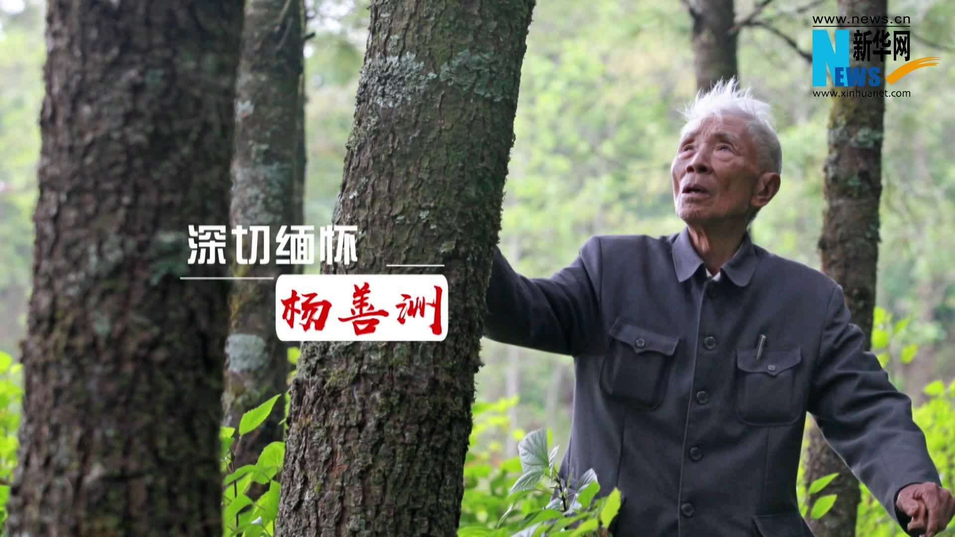 榜样的力量|深切缅怀杨善洲