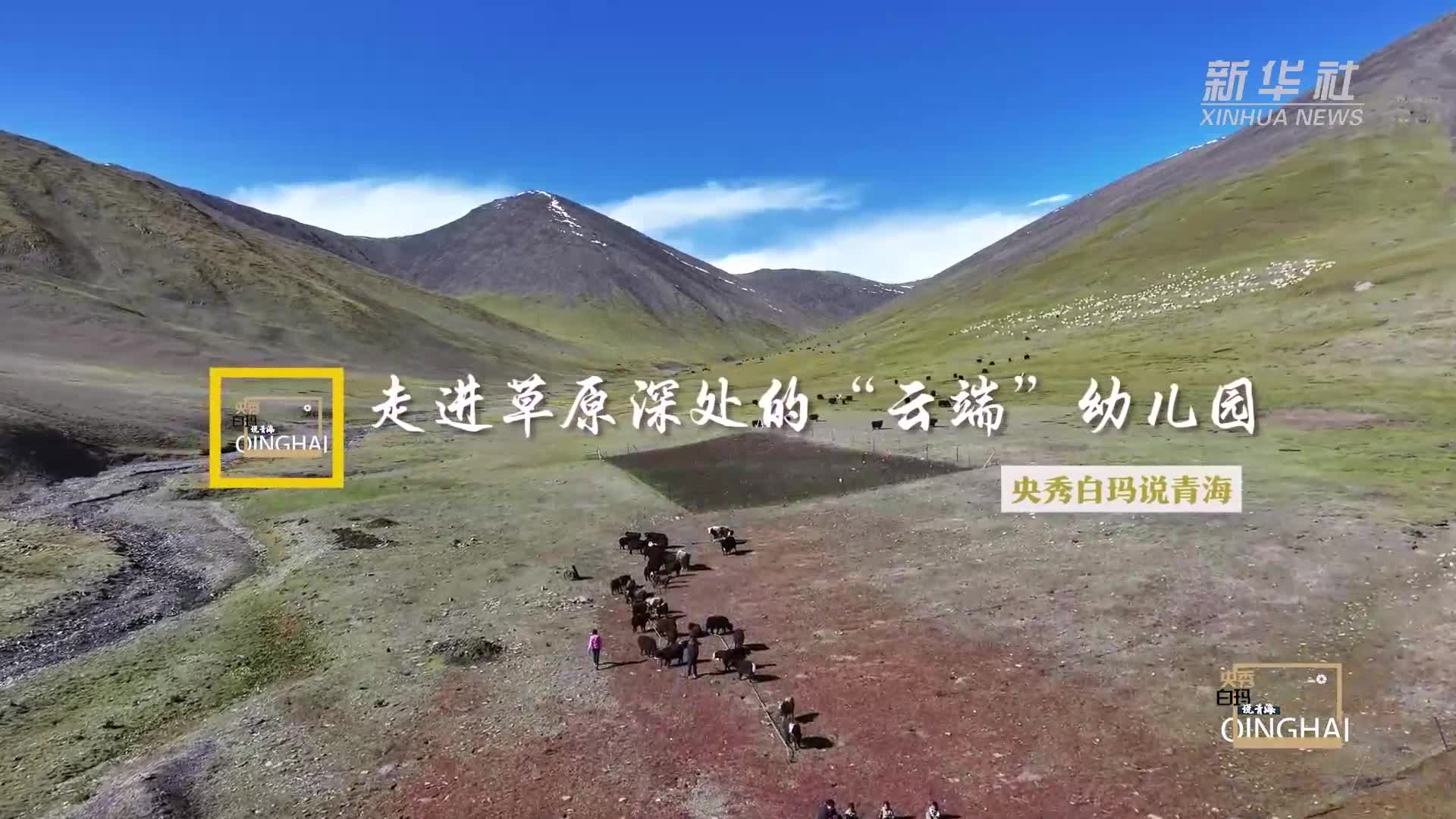 央秀白玛说青海丨走进草原深处的云端幼儿园