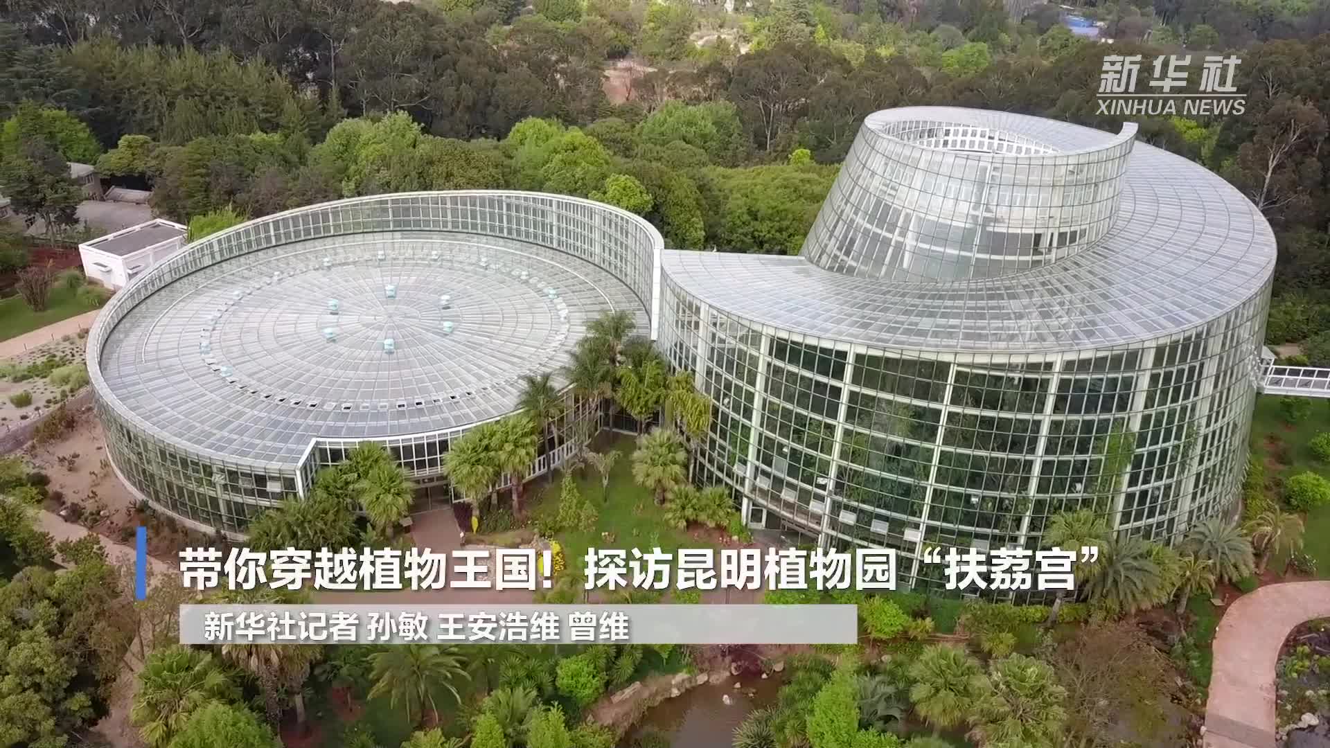 带你穿越植物王国探访昆明植物园扶荔宫