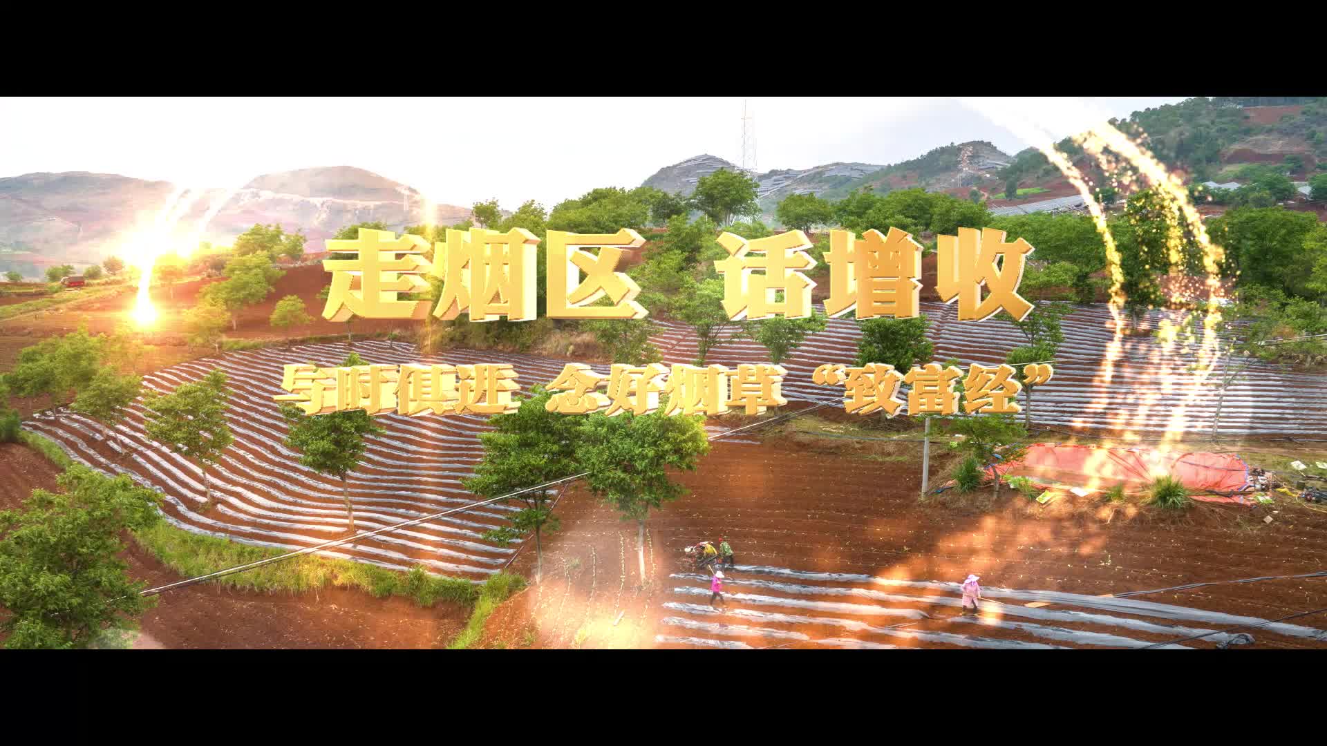 走烟区 话增收│与时俱进 念好烟草"致富经"