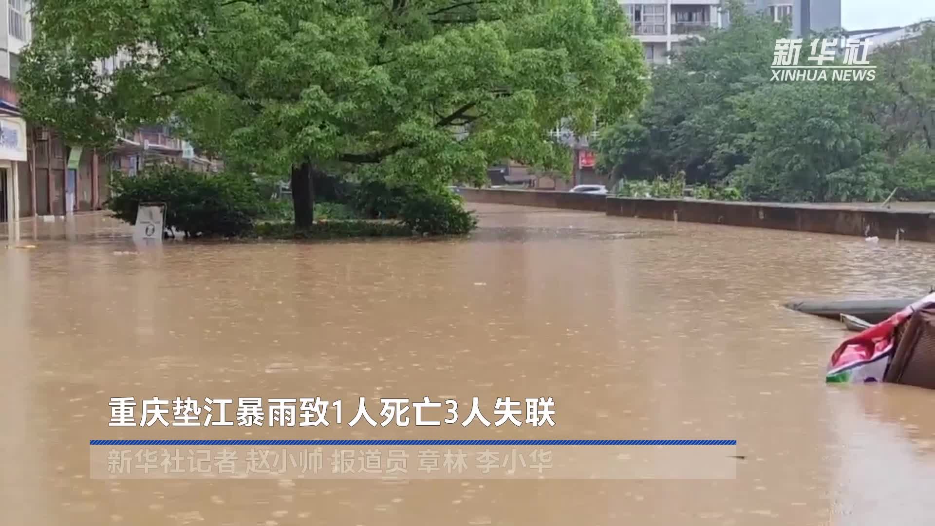 重庆暴雨造成35人死亡图片