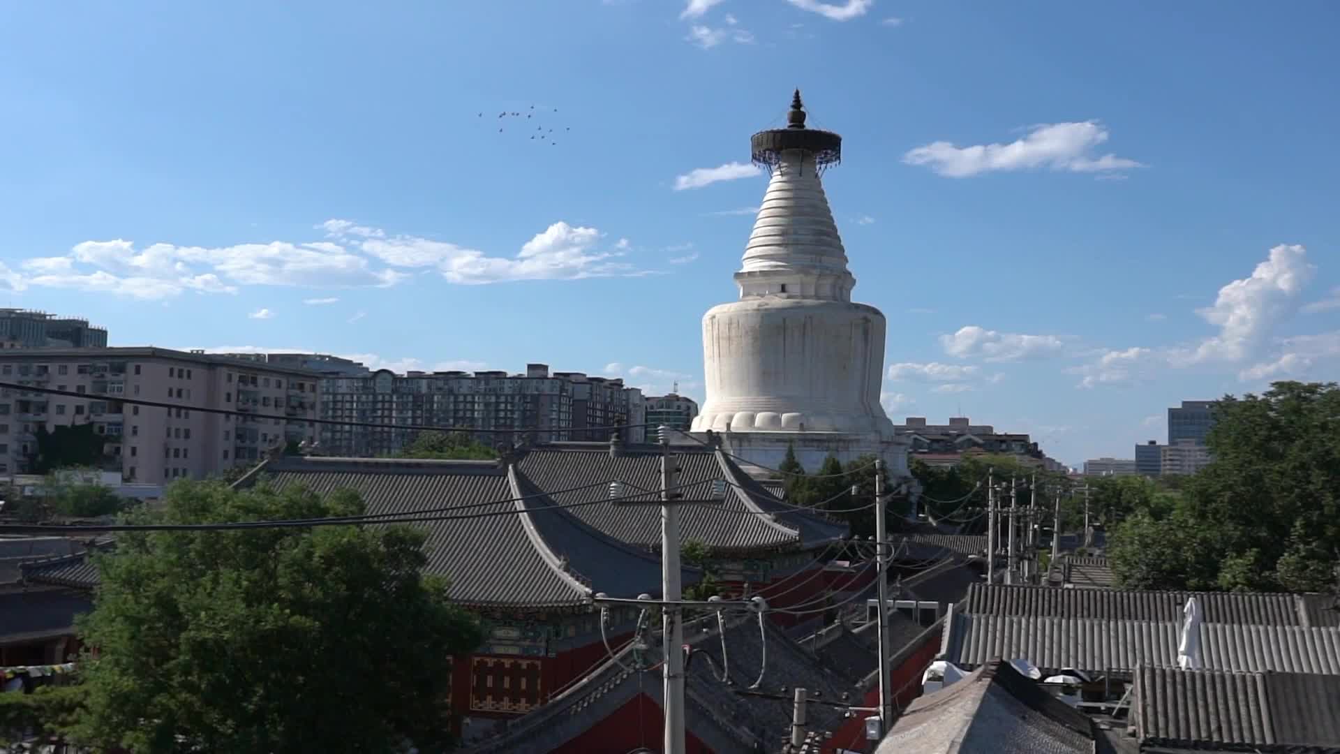 周口周口白塔寺遗址图片