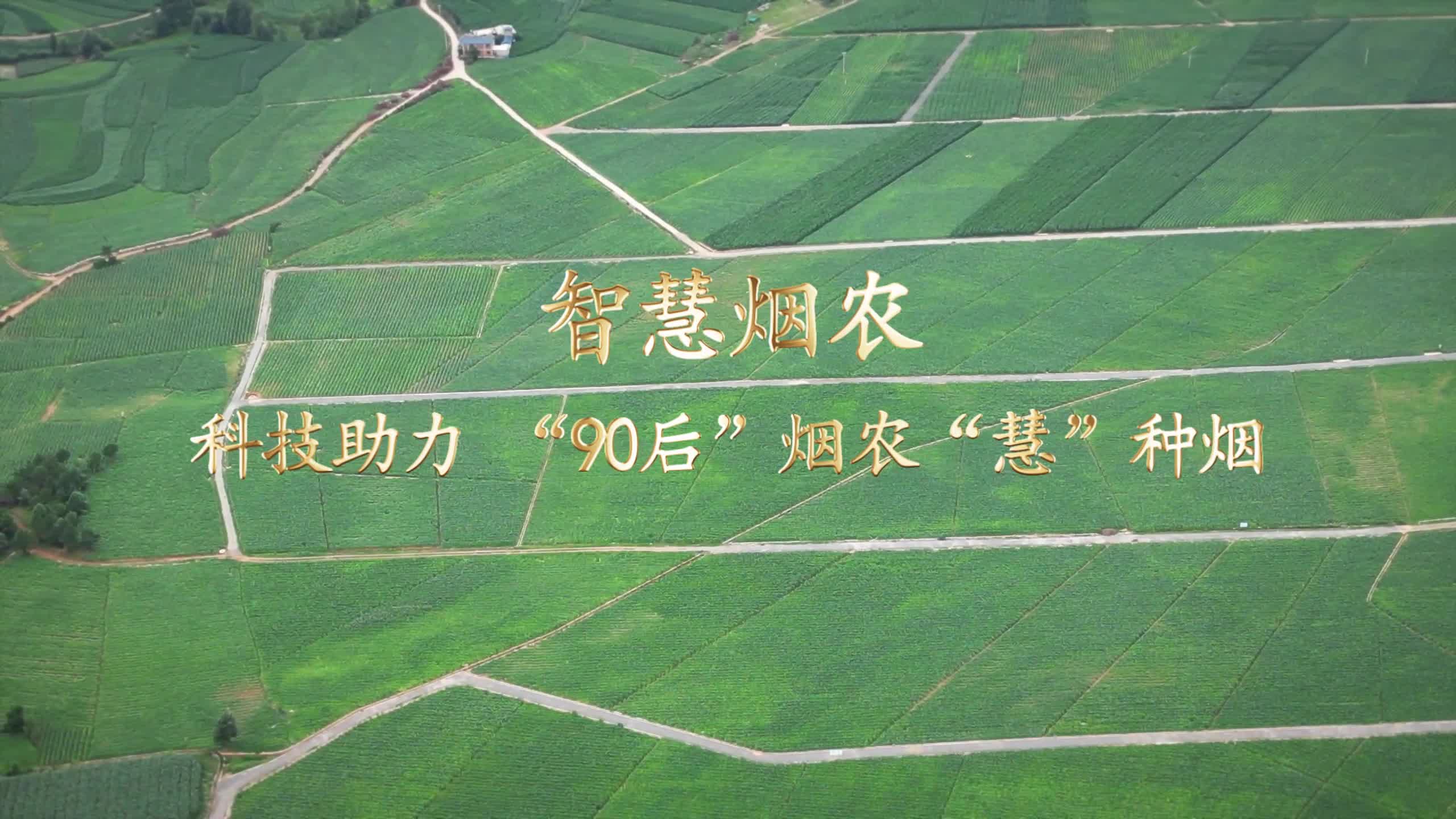 智慧烟农丨科技助力 “90后”烟农“慧”种烟-新华网        