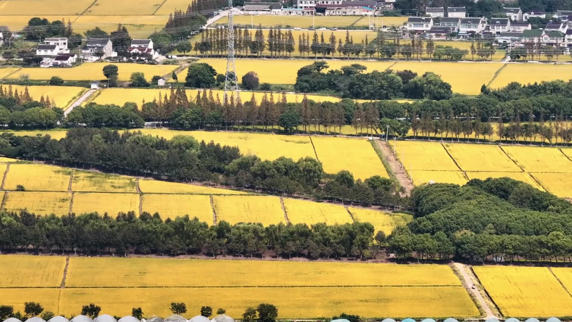 苏州横泾图片