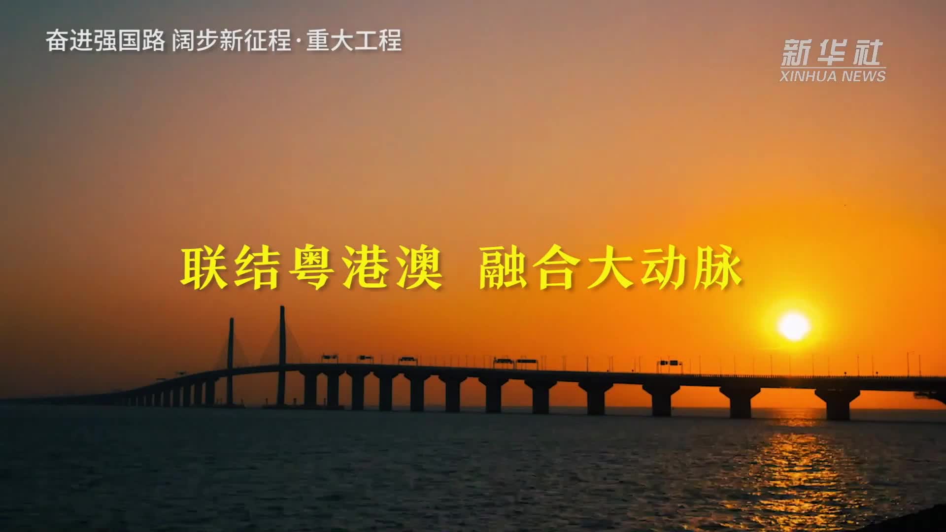 奋进强国路 阔步新征程·重大工程丨联结粤港澳 融合大动脉———港珠澳大桥塑造大湾区新格局 -新华网        