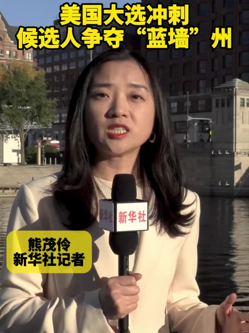 美国大选最后冲刺两党全力争夺“蓝墙”三州-新华网