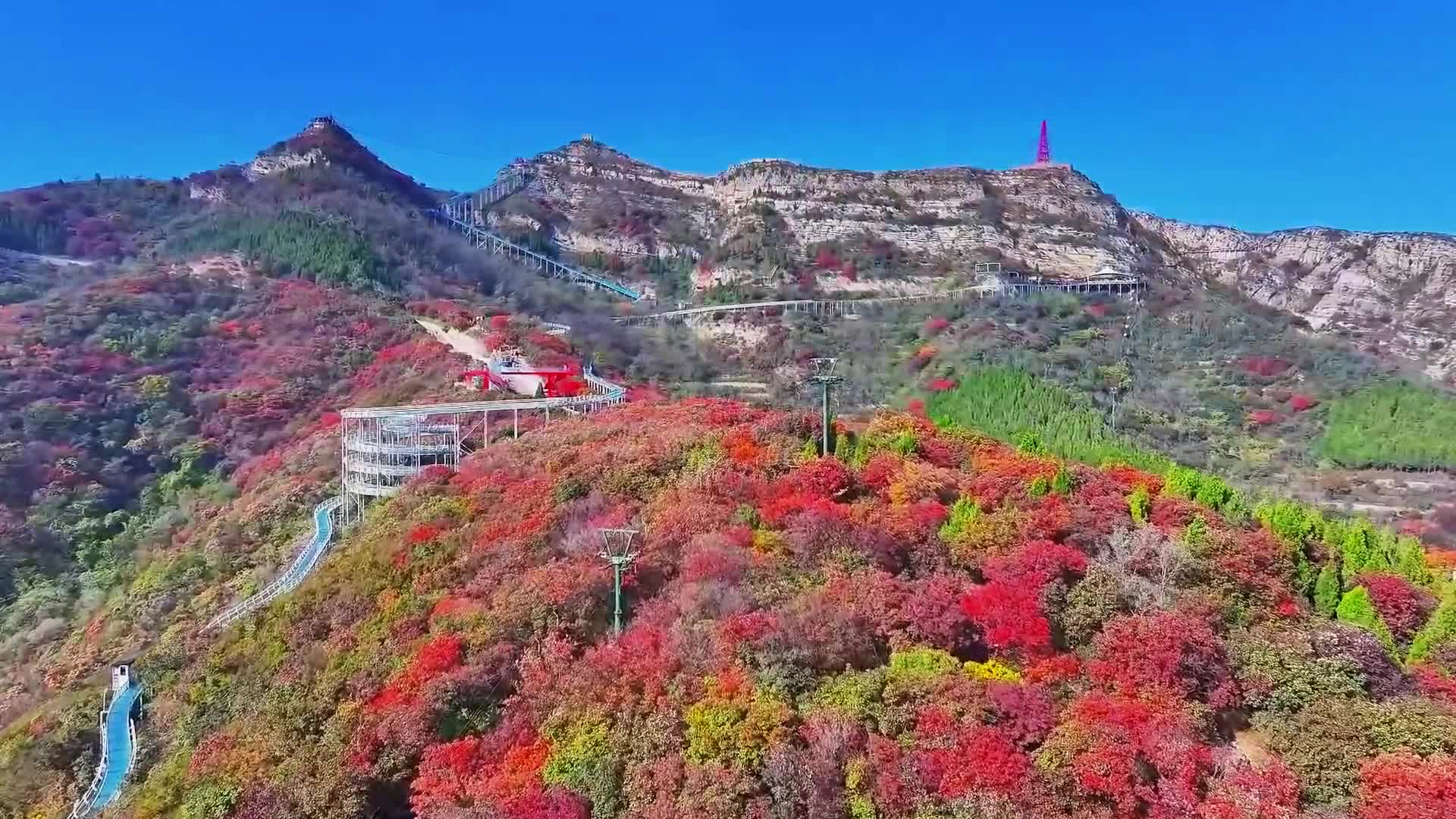 博山红叶柿岩景区攻略图片