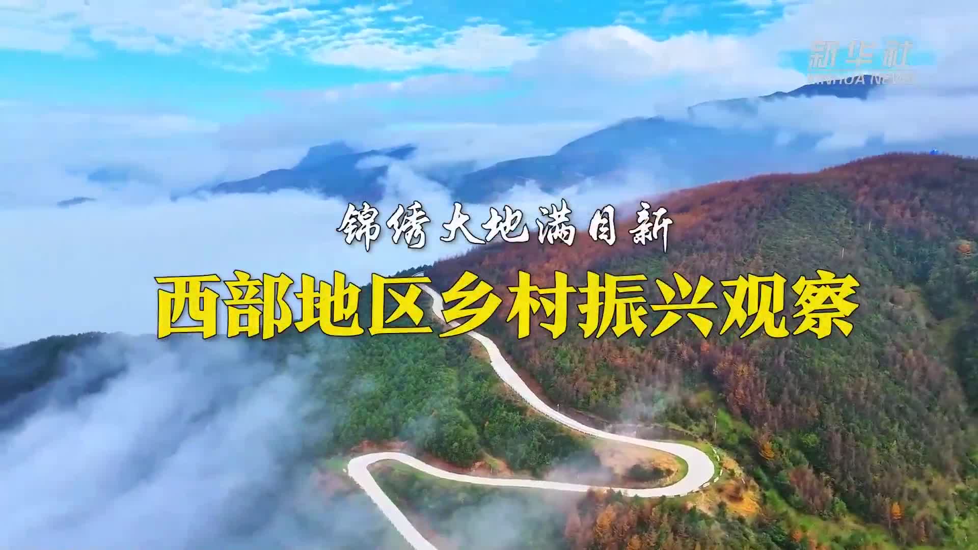 锦绣大地满目新——西部地区乡村振兴观察