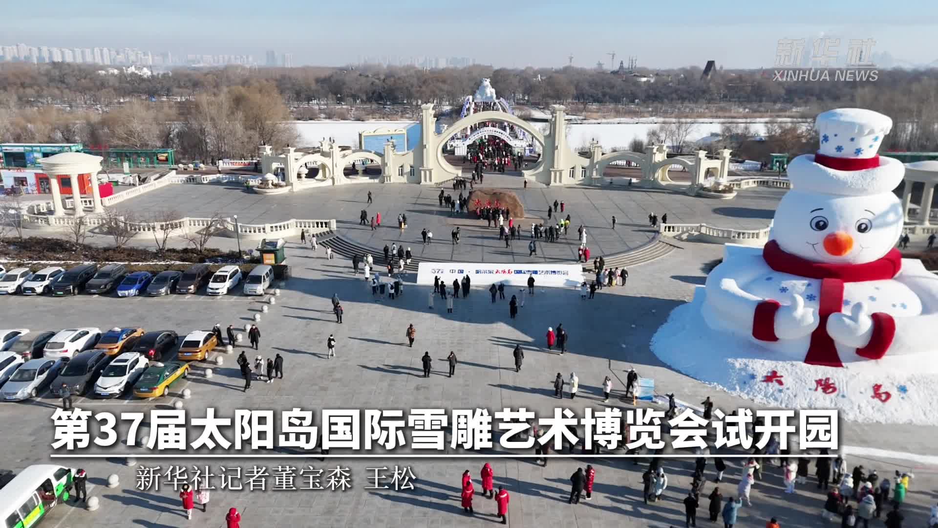 第37届太阳岛国际雪雕艺术博览会试开园-新华网