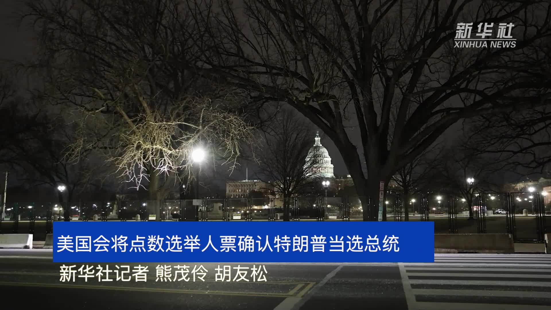 美国会将点数选举人票确认特朗普当选总统-新华网