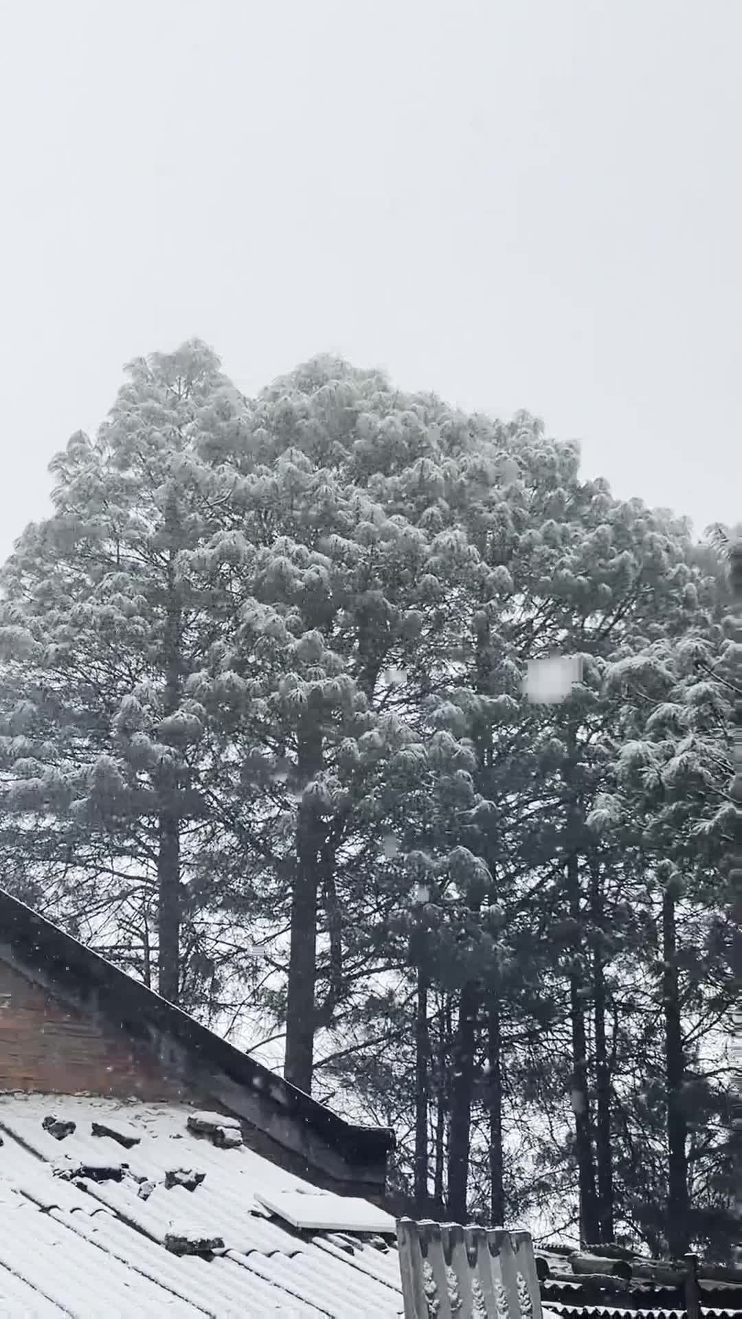 云南怒江四县（市）迎来2025年第一场雪_新华网