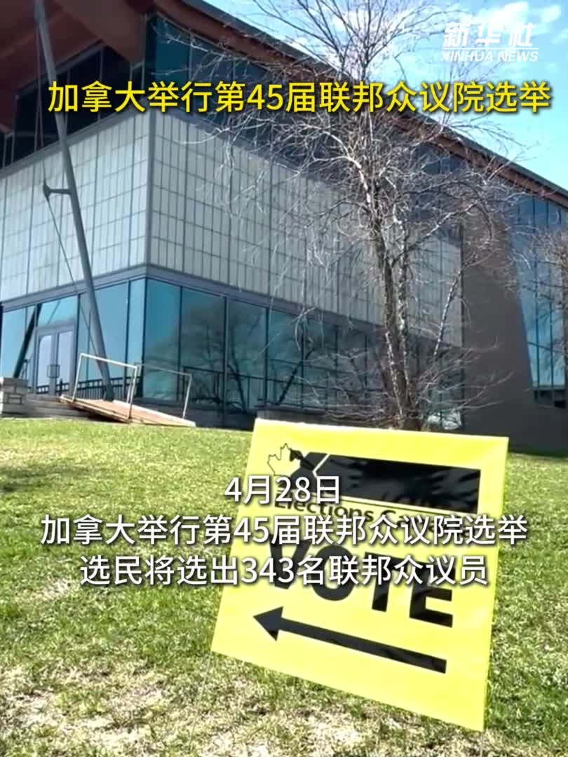 加拿大举行第45届联邦众议院选举-新华网