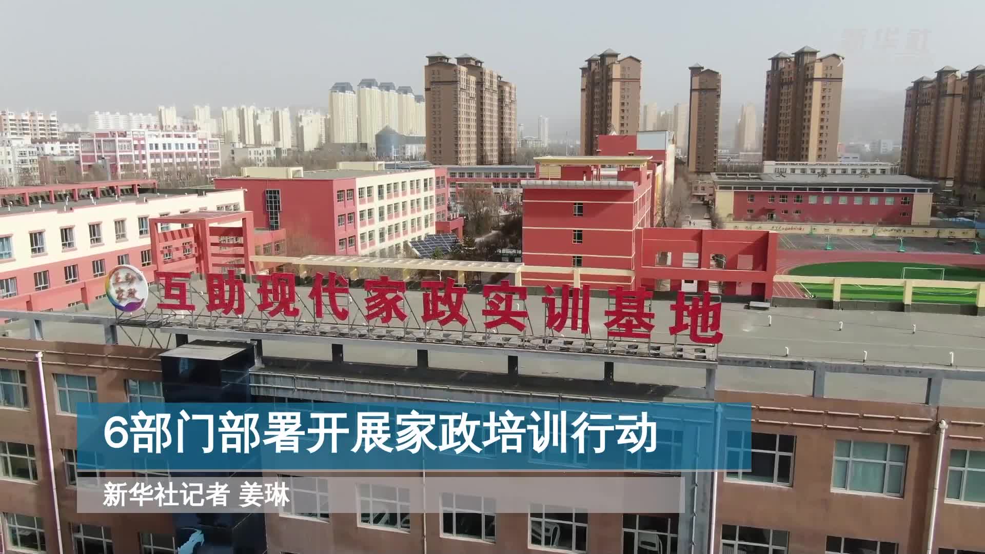 3年450万人次！6部门部署开展家政培训行动
