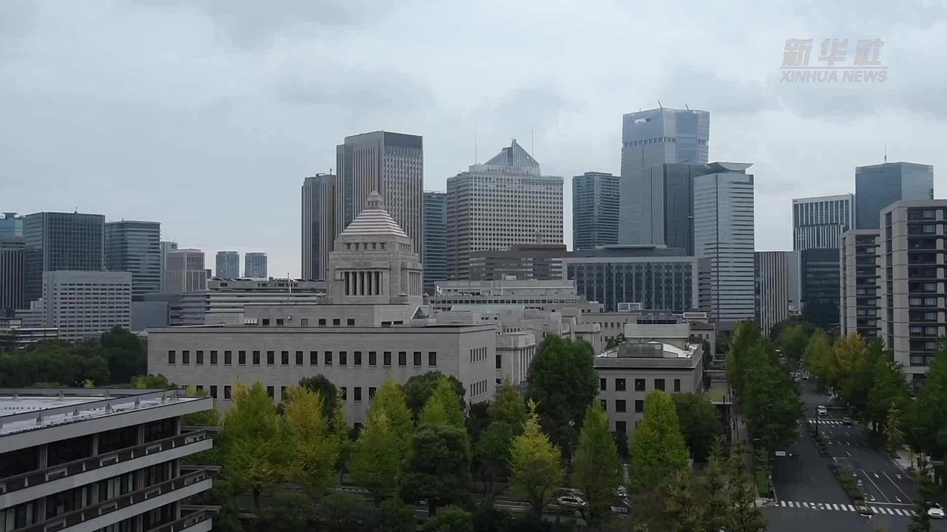 日本参议院选举公告发布选战正式开始-新华网