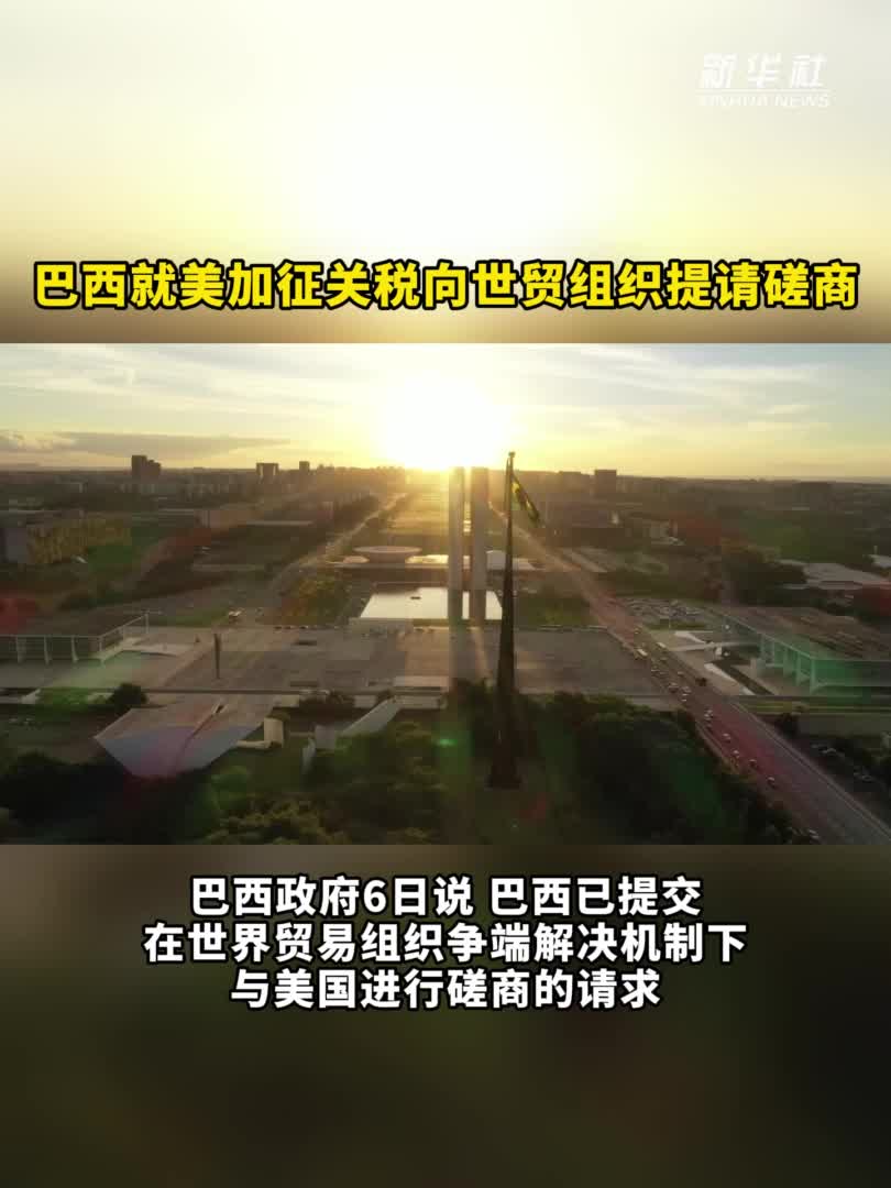 巴西就美加征关税向世贸组织提请磋商-新华网