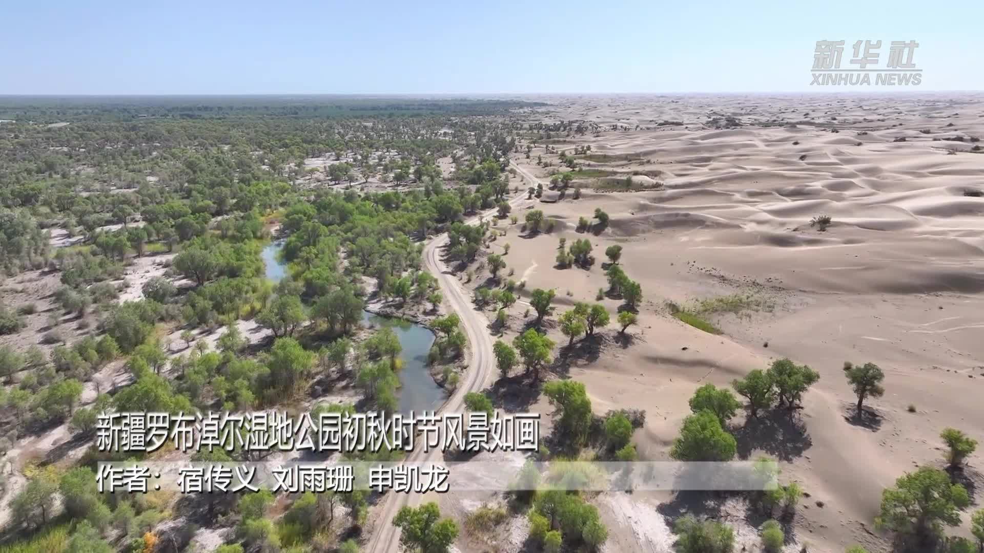 新疆罗布淖尔湿地公园初秋时节风景如画-新华网