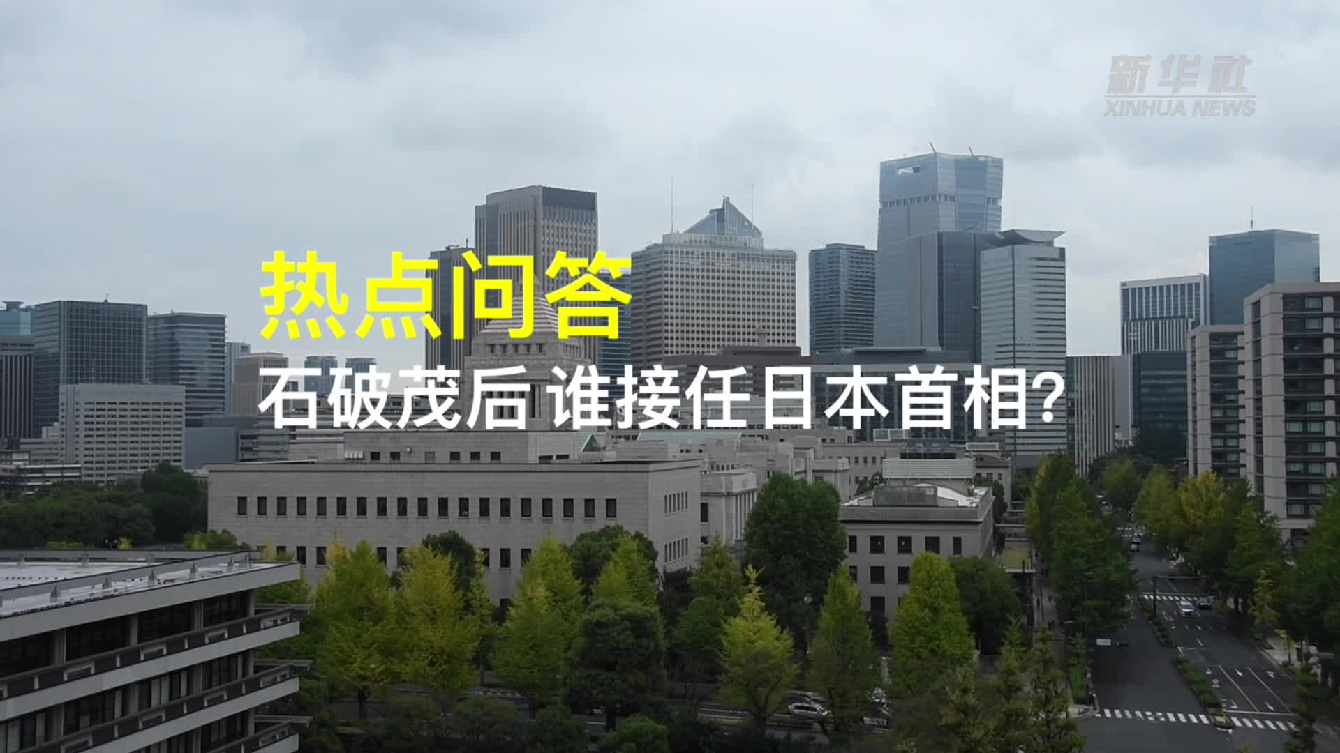 热点问答｜石破茂后，谁接任日本首相-新华网