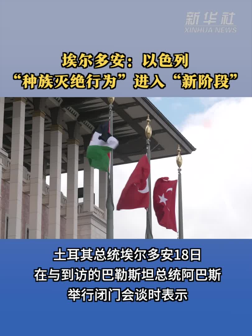 埃尔多安：以色列“种族灭绝行为”进入“新阶段”-新华网