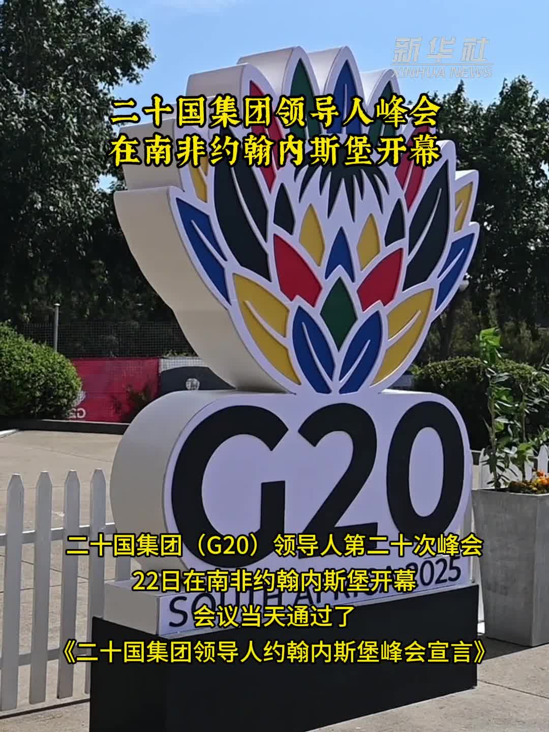 二十国集团(g20)领导人第二十次峰会 (95) 사진