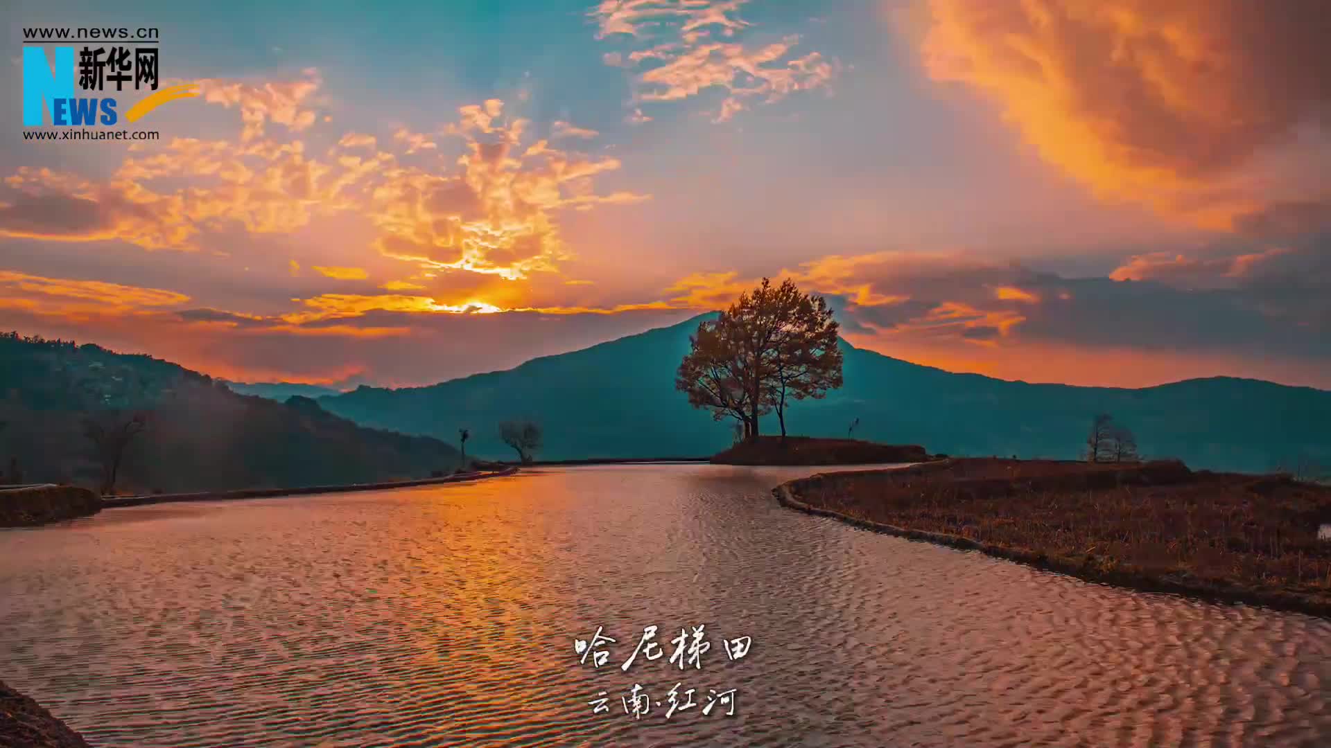 云南红河：梯田鎏金夜