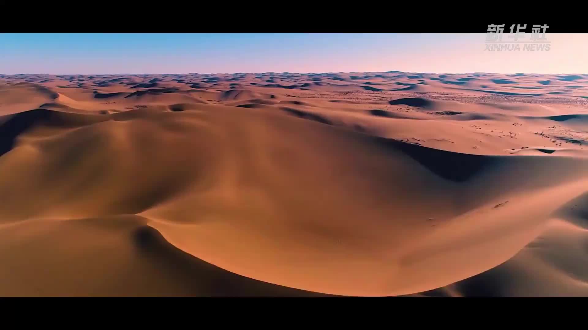 绿润丝路 沙海生金——全球荒漠化治理的中国智慧