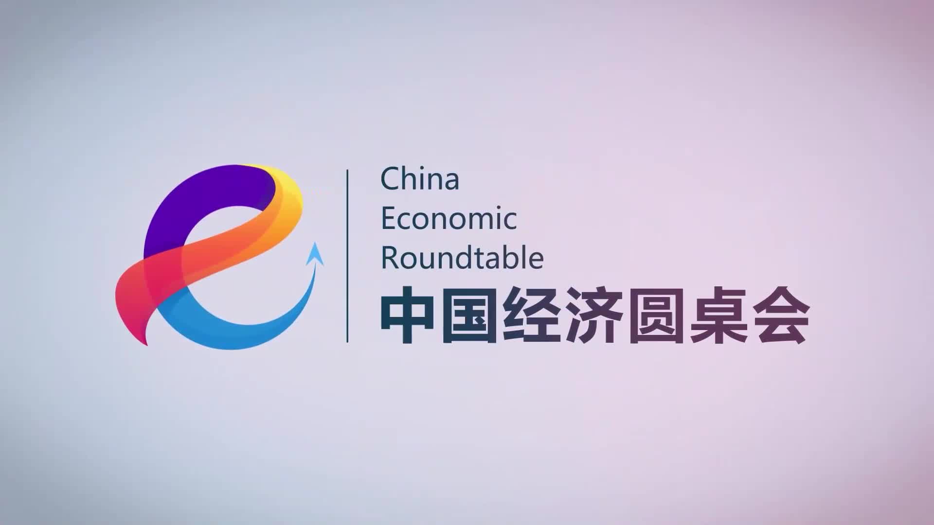 “中国经济圆桌会”共话服务业扩能提质