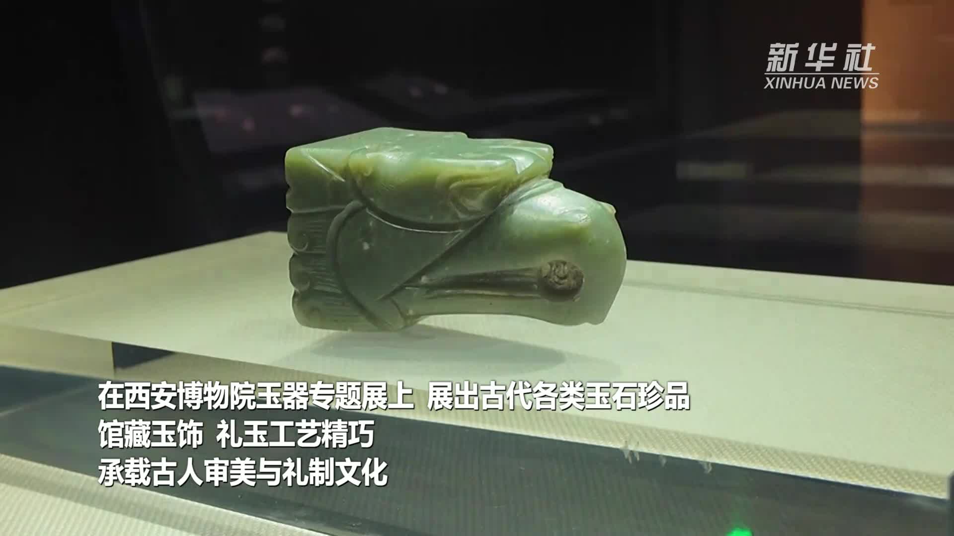 来西安博物院看精美玉器展-新华网